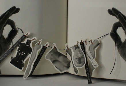 Proyecto de egresados